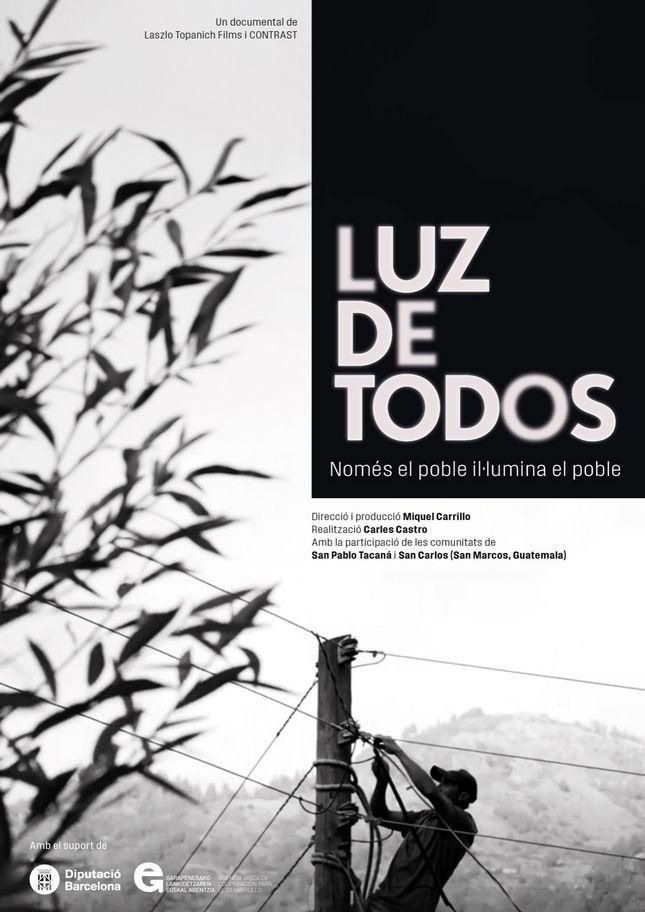 Cartel del film en blanco y negro. Paisaje de fondo con operario a medio plano subido a un poste de la luz, realizando trabajos